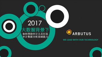 大数据环境下审计数据分析能力的构建路径——基于互联网数据服务的视角